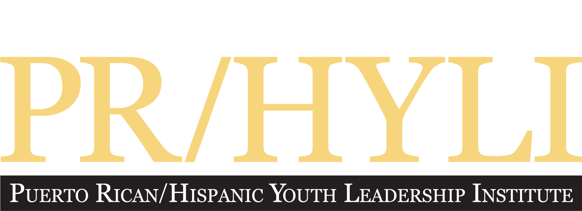 Angelo Del Toro Puerto Rican/Hispanic Youth Leadership Institute